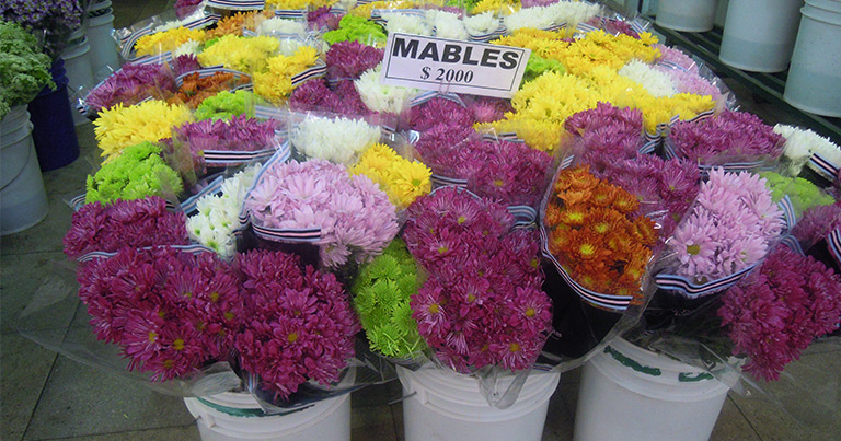 Visita al mercado de flores de Chile 